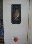 290106_2.jpg